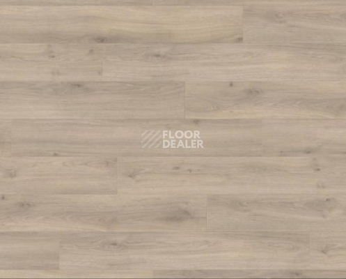 Ламинат Haro Tritty 100 4V ДУБ ЭМИЛИЯ ВЕЛЬВЕТ СЕРЫЙ 538695 фото 1 | FLOORDEALER